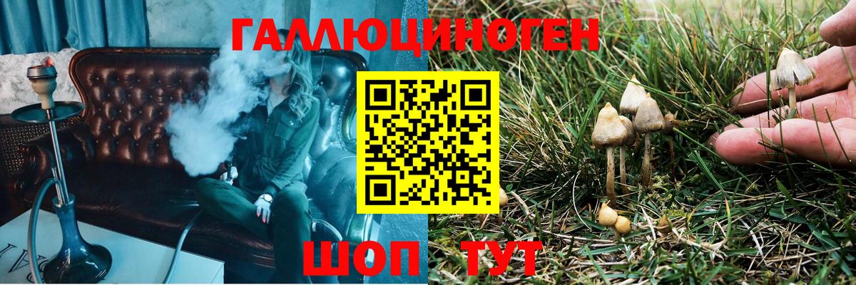 Галлюциногенные грибы мухоморы  Псилоцибиновые грибы Psilocybe  Ульяновск  Вход с VPN 