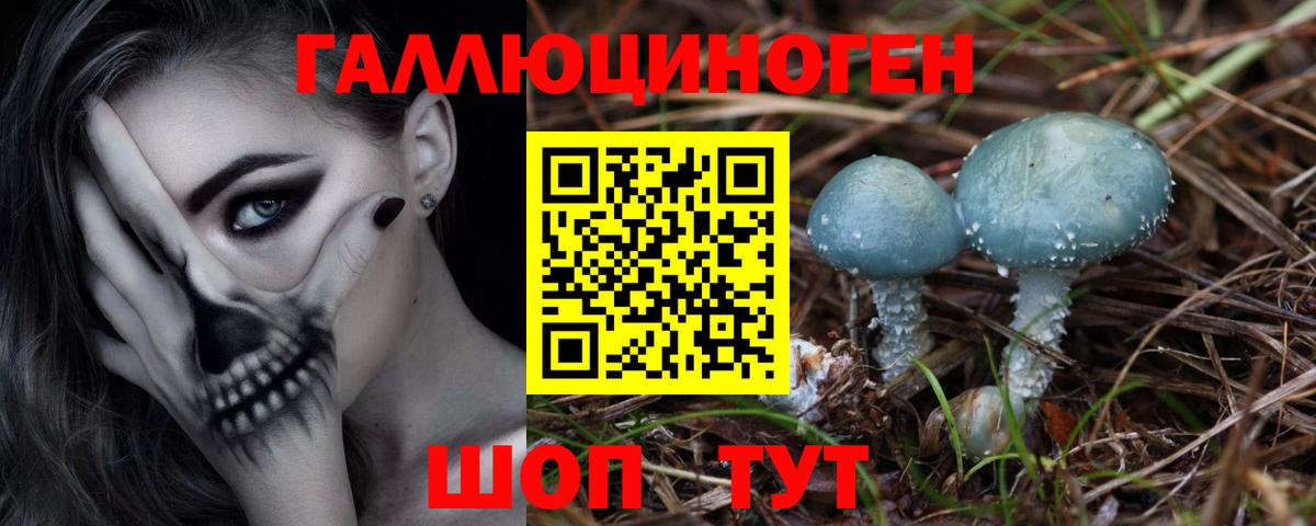 Псилоцибиновые грибы Cubensis Ульяновск